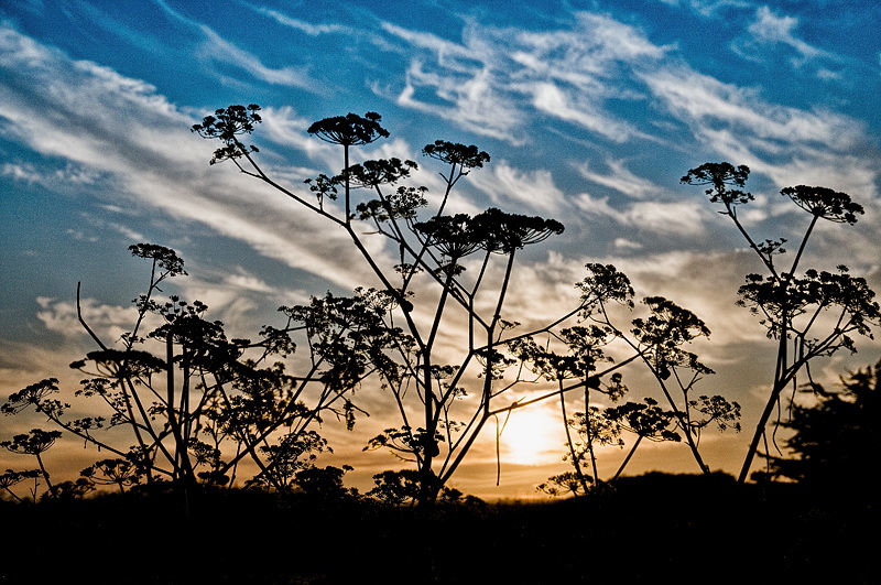 1234 Sonne Bretagne 09-2012 D35_1233 als Smart-Objekt-1 Kopie.jpg